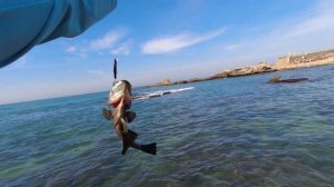 4K 08/02/2024 Caesarea Кейсария קיסריה דיג рыбалка fishing