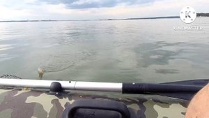 Рыбалка на Обском водохранилище. 2022г
