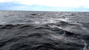 Обь Газисо. Ильмень, волна, стоим на якоре типа парус