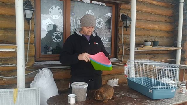 Что нужно кролику купить для содержания