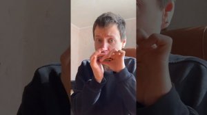 Губная гармошка Marine band 1896 B