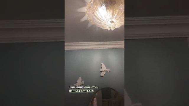 Птицы на стену, декор, справа налево 5шт смотреть онлайн