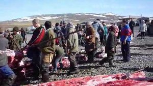 Разделывание туши кита