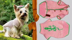 Вяжем свитер для собаки крючком с вышивкой и клепками