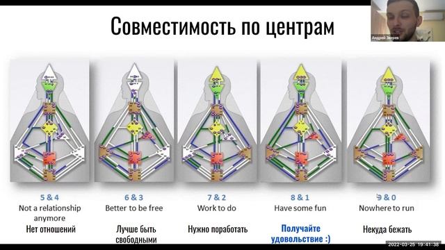 Селезеночный авторитет дизайн