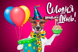 День сюрпризов.mp4