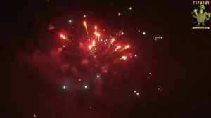 С079 ОСОБОЕ МНЕНИЕ 118 залпов,калибр 1,2"- 1,5"