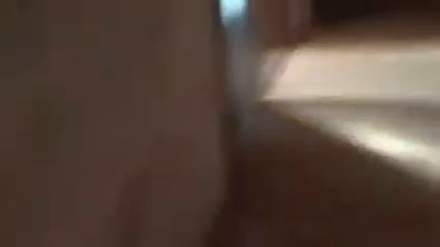 силиконовый противень-вещь!