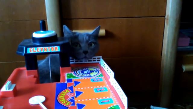 Шахта лифта смотреть онлайн