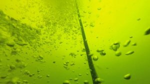 Водолазные работы