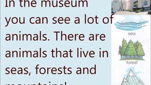 The State Darwin Museum, ex 2 p 22, City Stars2, module 5, A Butterfly, My Moscow