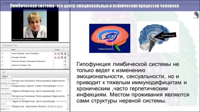 !!!Лимбическая Система Мозга!!!|!!!Limbicheskaja Sistema Mozga!!! смотреть онлайн