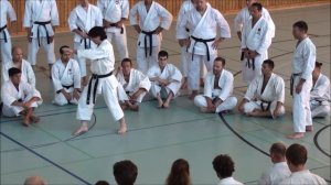 Andre Bertel Karate Seminar - Ahrensburg, Germany 2016
