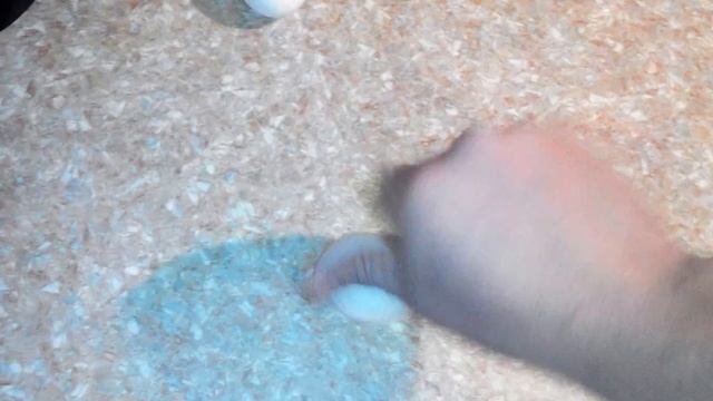 Как отличить варёное яйцо от сырого. смотреть онлайн