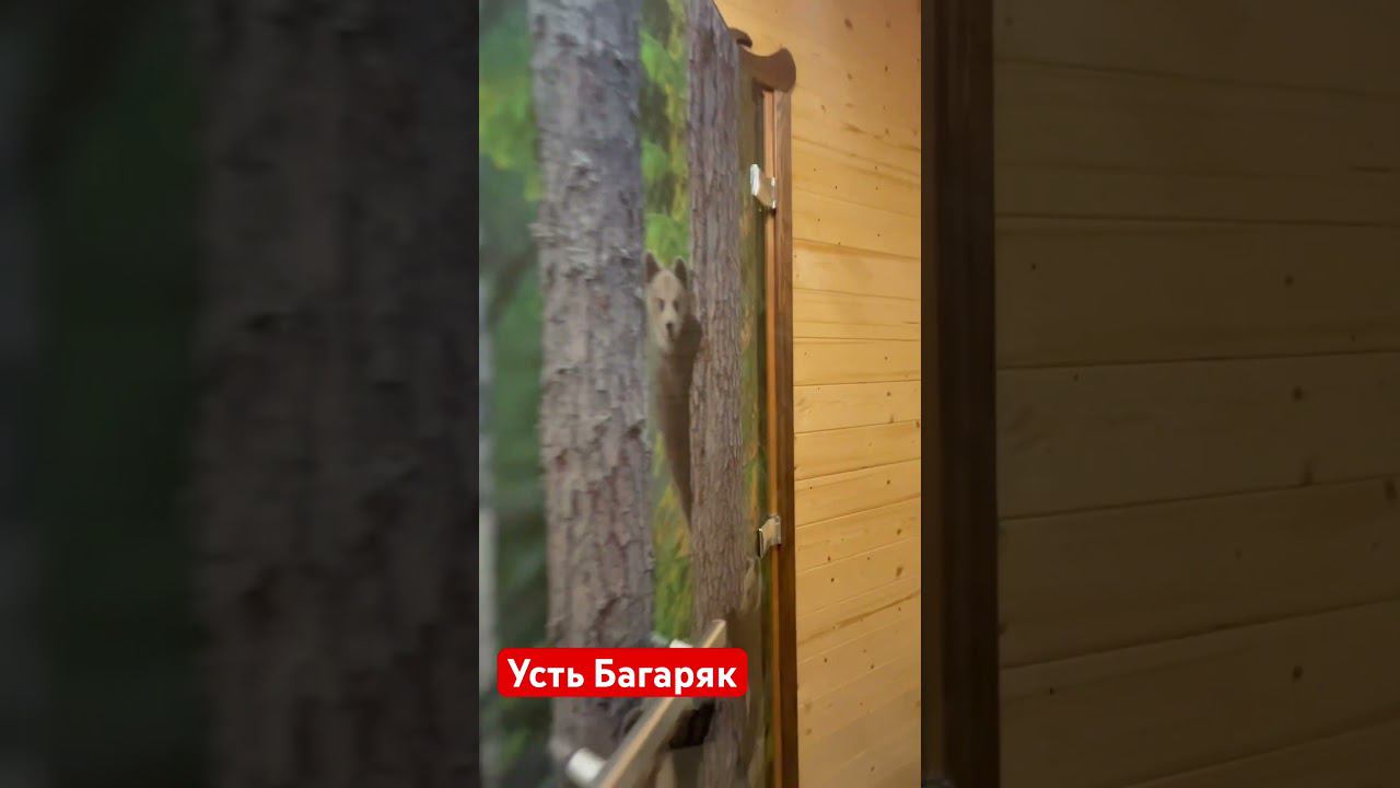 Баня #17 #каменскуральский #shortvideo #врек #банянадровах #баня_под_ключ #сауна #отделкабани
