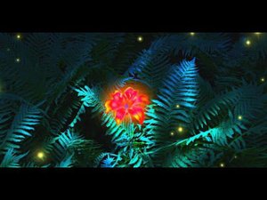 Купальский стрим. Ночная часть.