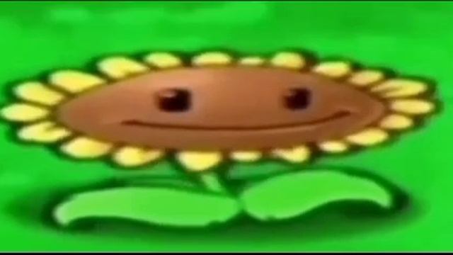 Подсолнух