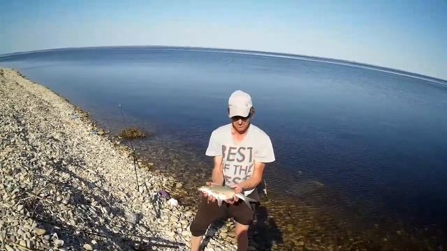 Фидер на р.Волга смотреть онлайн