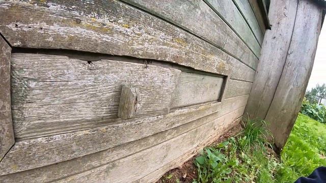 Как в детстве уминаю сено .Профилактика от крыс .Жизнь в деревне. смотреть онлайн