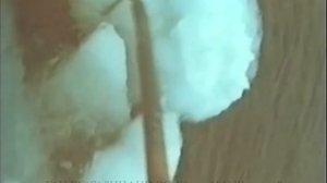 Фильм "Подвиг Семена Дежнева", 1981 г. Центрнаучфильм.