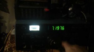 Макеевская цифровая шкала на Контуре 116