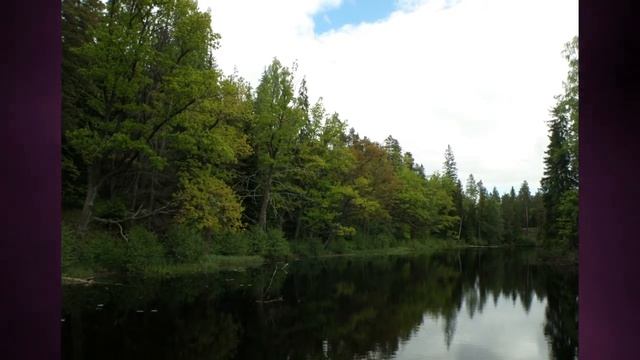 Александр Чиненков и Татьяна Воронина — Пьяненькие (Когда стою на службе в храме) смотреть онлайн