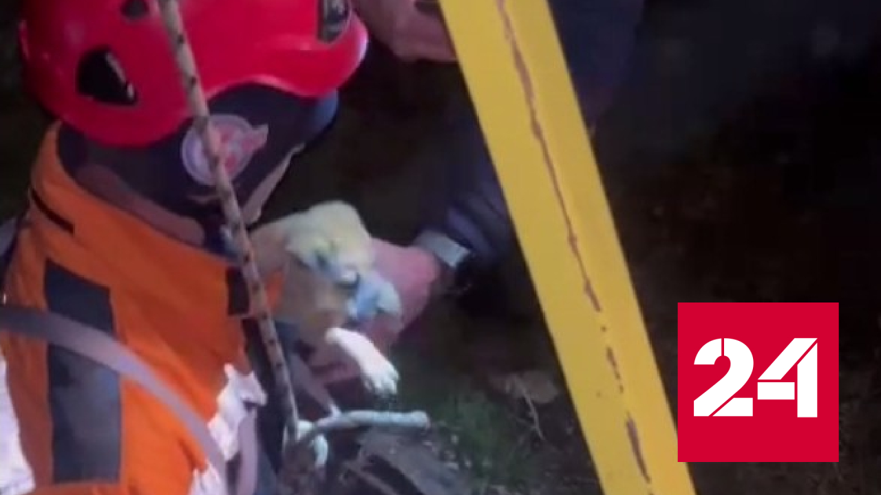 Краснодарские спасатели вытащили щенка из глубокого колодца - Россия 24