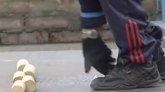 Азбука спорта - Городки смотреть онлайн