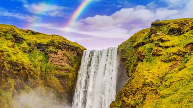 Genesis 8-9 A Love Story? смотреть онлайн