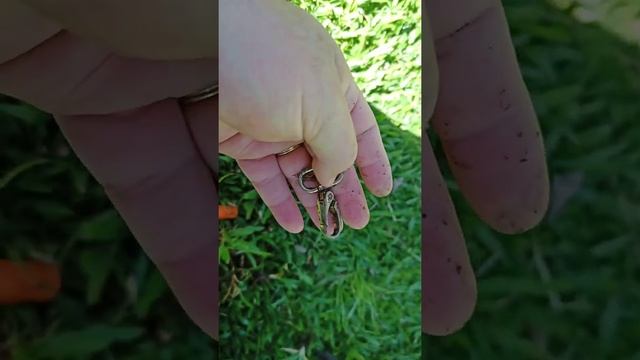 detector MD 830 смотреть онлайн