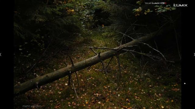 LX100 II - Capture Autumn! смотреть онлайн