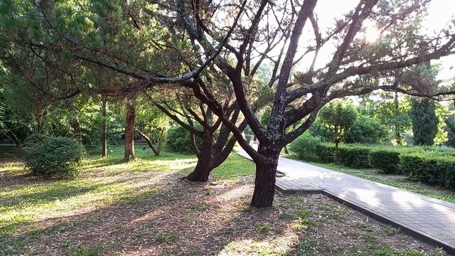 Мелодия тёплых времён! Melody of warm times.