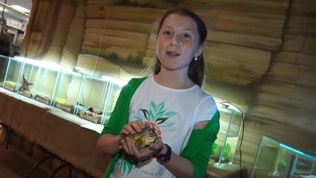 Выставка амфибий в контактном зоопарке. Сюжет Камилллы Альбековой. Гора новостей. Телешко смотреть онлайн