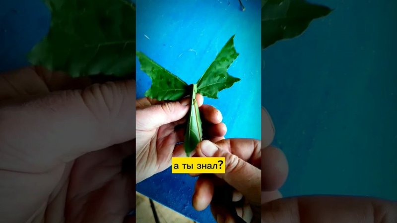 Такому в институте не учат✂️ #лайфхаки