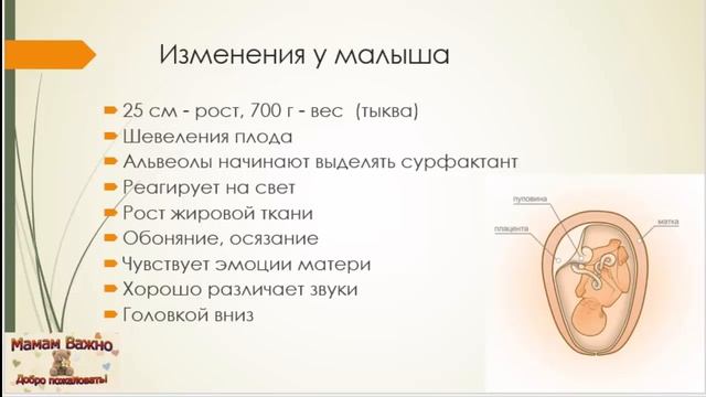 26 неделя беременности: изменения, рекомендации, особенности