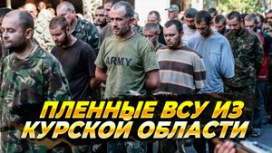 Пленные ВСУ из Курской области  -Новости