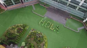 Презентация формы LES Art Resort ****