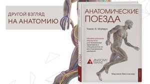 "Анатомические поезда"