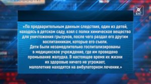 Съели крысиный яд! СК опубликовал официальную информацию об отравлении воспитанников д/сада