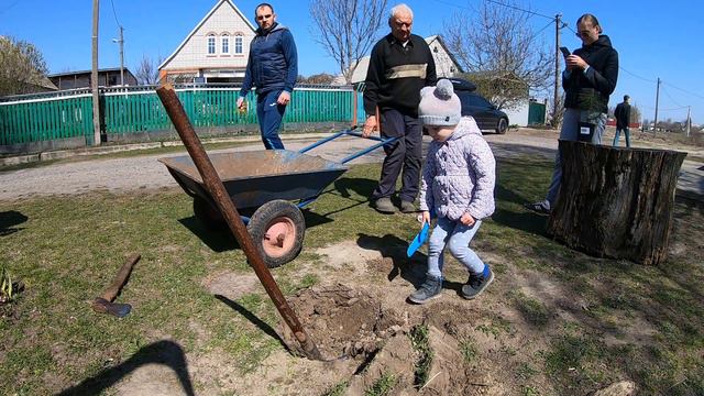 Ксюша садить дерево! Допомагаємо планеті! смотреть онлайн
