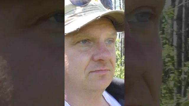 Свет и тень. По дороге от Лук до реки Тростяница (05.05.2023) смотреть онлайн