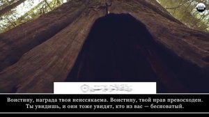 Убайд Раббани. Сура 68 Аль-Калам (Письменная трость), аяты 1-7 (Чтение Священного Корана, Саляфия)