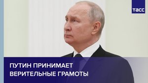 Путин принимает верительные грамоты