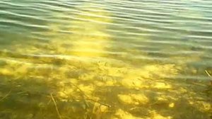 Белое Озеро Рязанская область