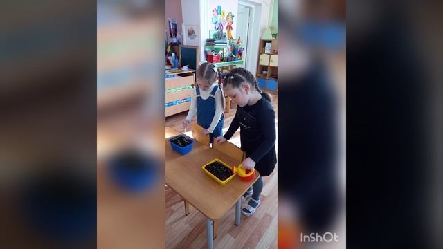 Огород на подоконнике