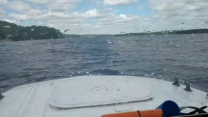 Лодка Сарепта - красота
