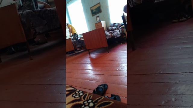 Старание не прошло даром смотреть онлайн