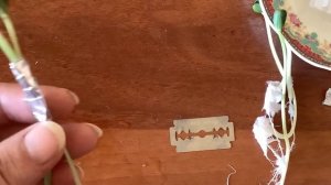 Прививка арбуза на лагенарию. 3 способа!