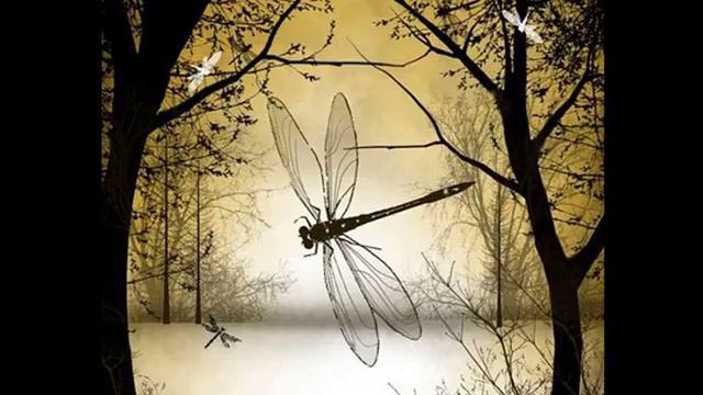 Dragonfly. О важном событии смотреть онлайн