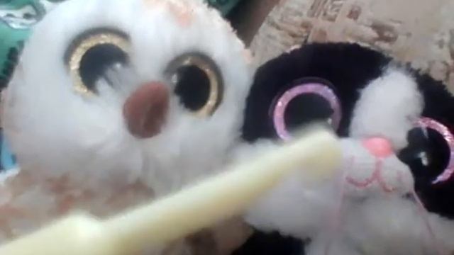 Аск!  #2 котосова